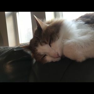 Meet your Posher, Hailee